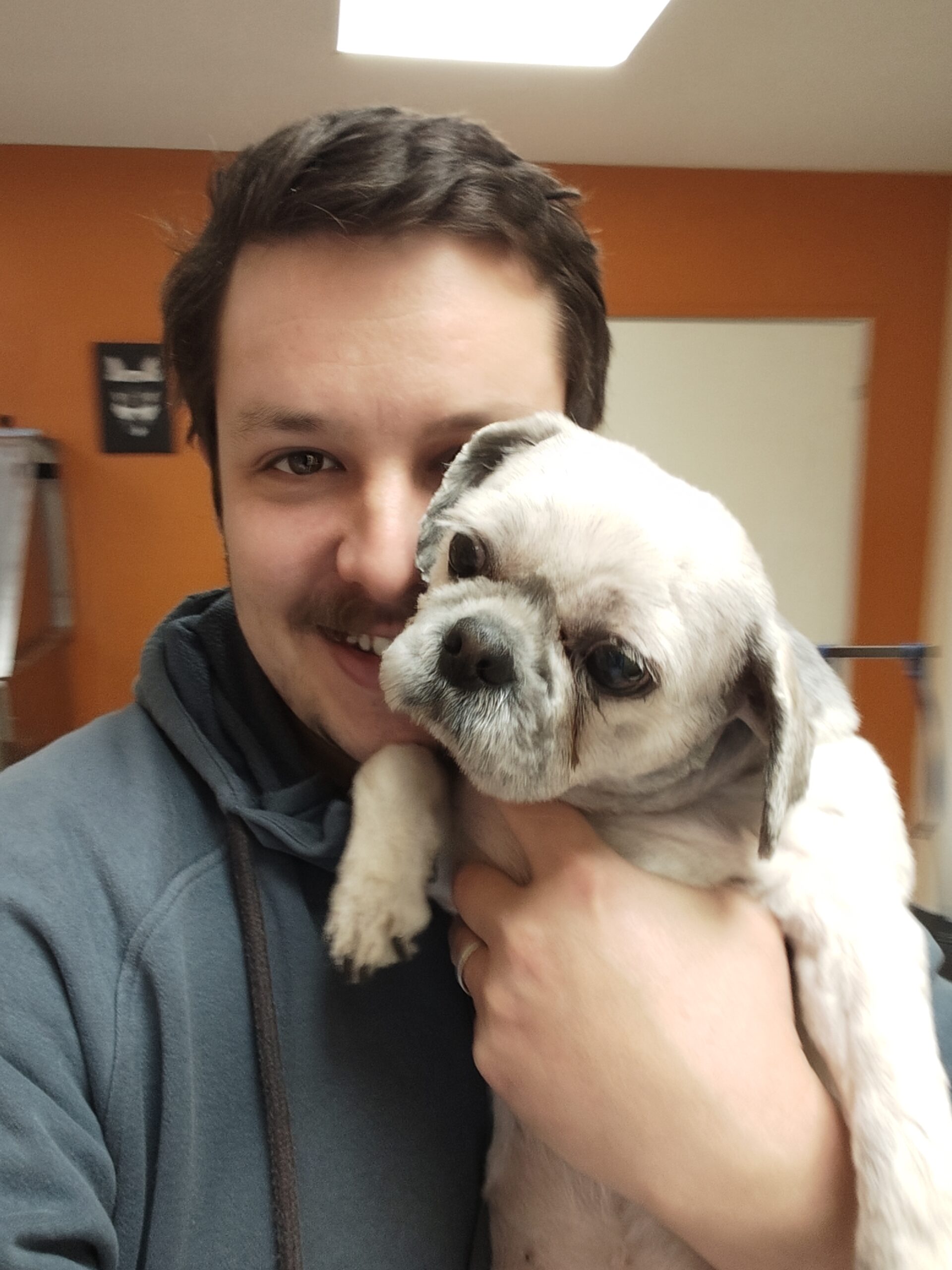 Accueil chiens et chats chez François Toilettage à Houdain