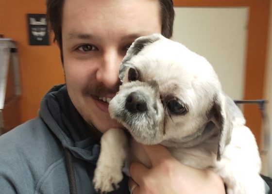 Accueil chiens et chats chez François Toilettage à Houdain