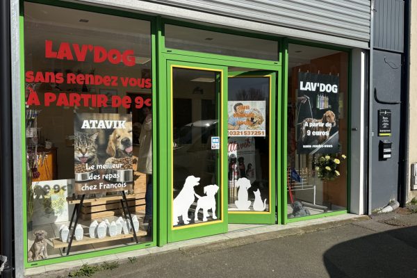 Toilettage de chien au salon François Toilettage à Houdain